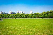 Why Gandhinagar Is Famous as a Green Zone?