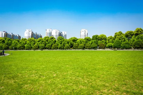 Why Gandhinagar Is Famous as a Green Zone?