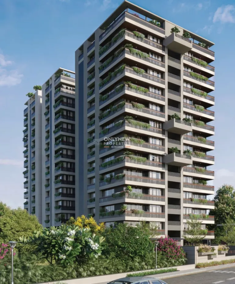 Royal Rosevill Regius